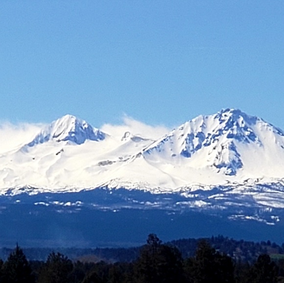 Meet your Posher, Brenda, ~HipFarmChick Designs~ - Picture 5 of 16